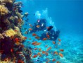 /album/nuestros-espacios/buceo-background-jpg/